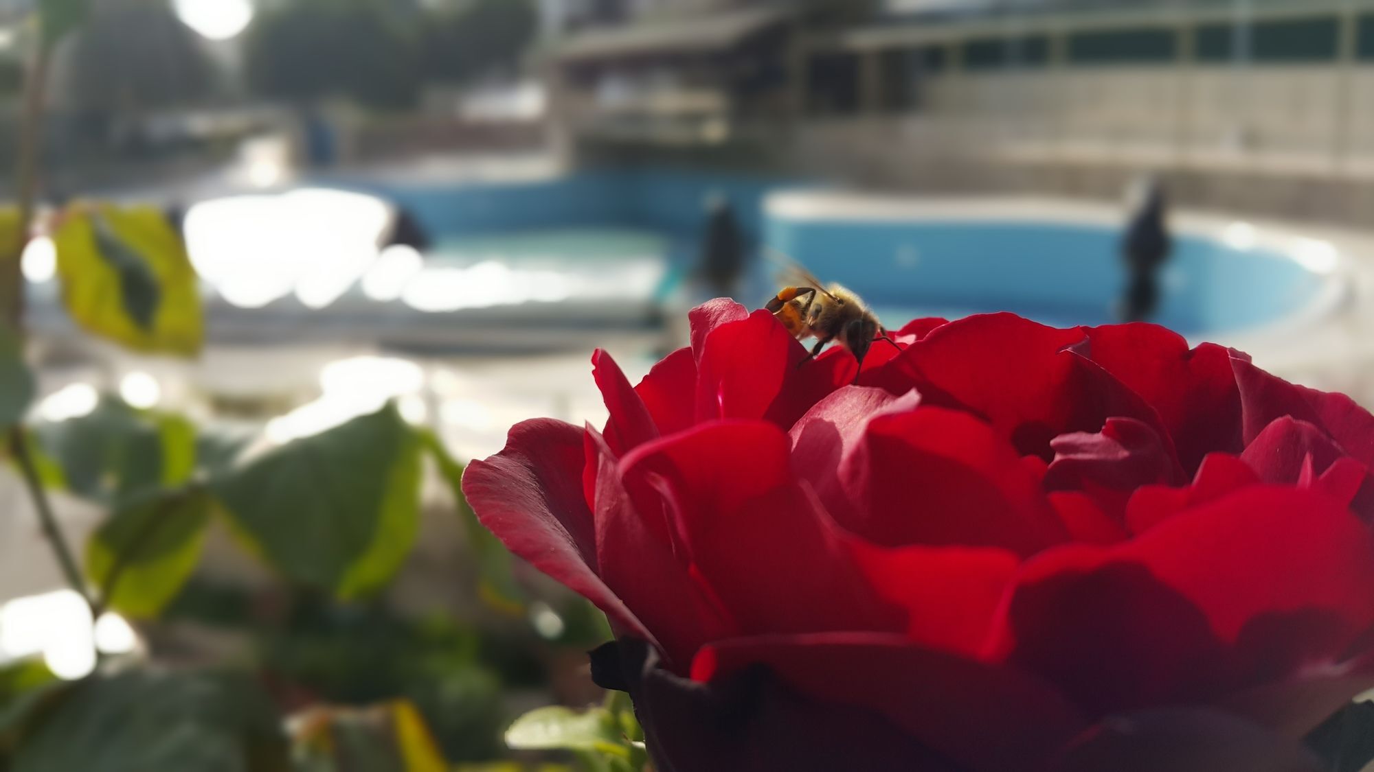 Tu Casa Gelidonya Hotel Kemer Esterno foto
